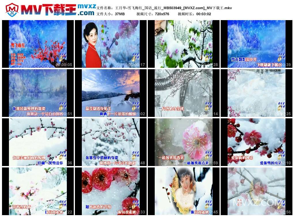 王月华-雪飞梅红_国语_流行_MB503949